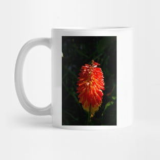 alb torch Mug